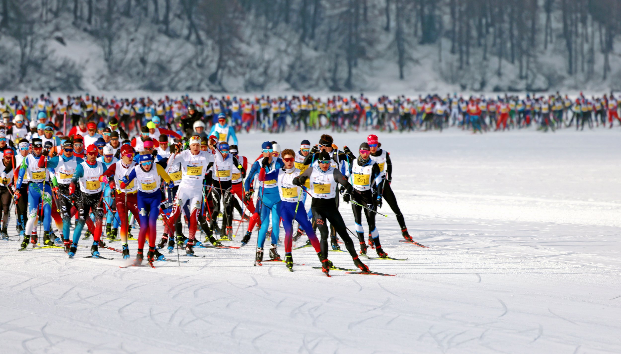 1_Best of...Andy Mettler0038.JPG