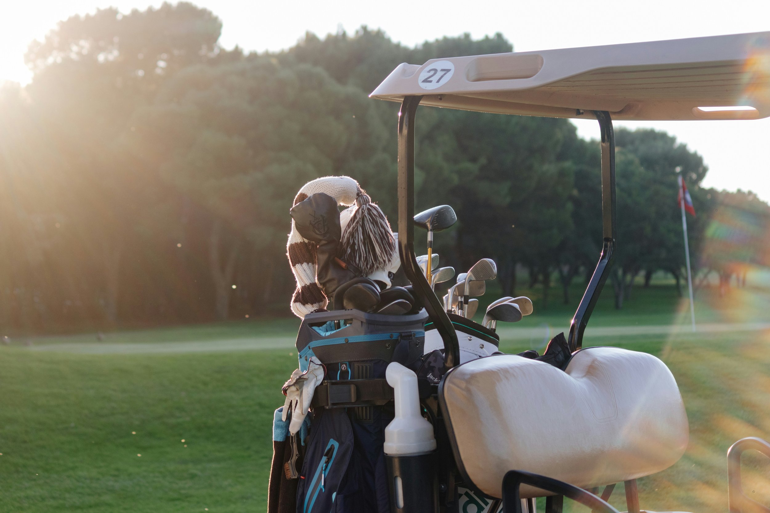 A golf course with a golf cart, number 27, parked on the green with golf clubs inside, and a person wearing a knit beanie, obscured face, and winter jacket seated inside the cart. The background features trees and a bright sky.