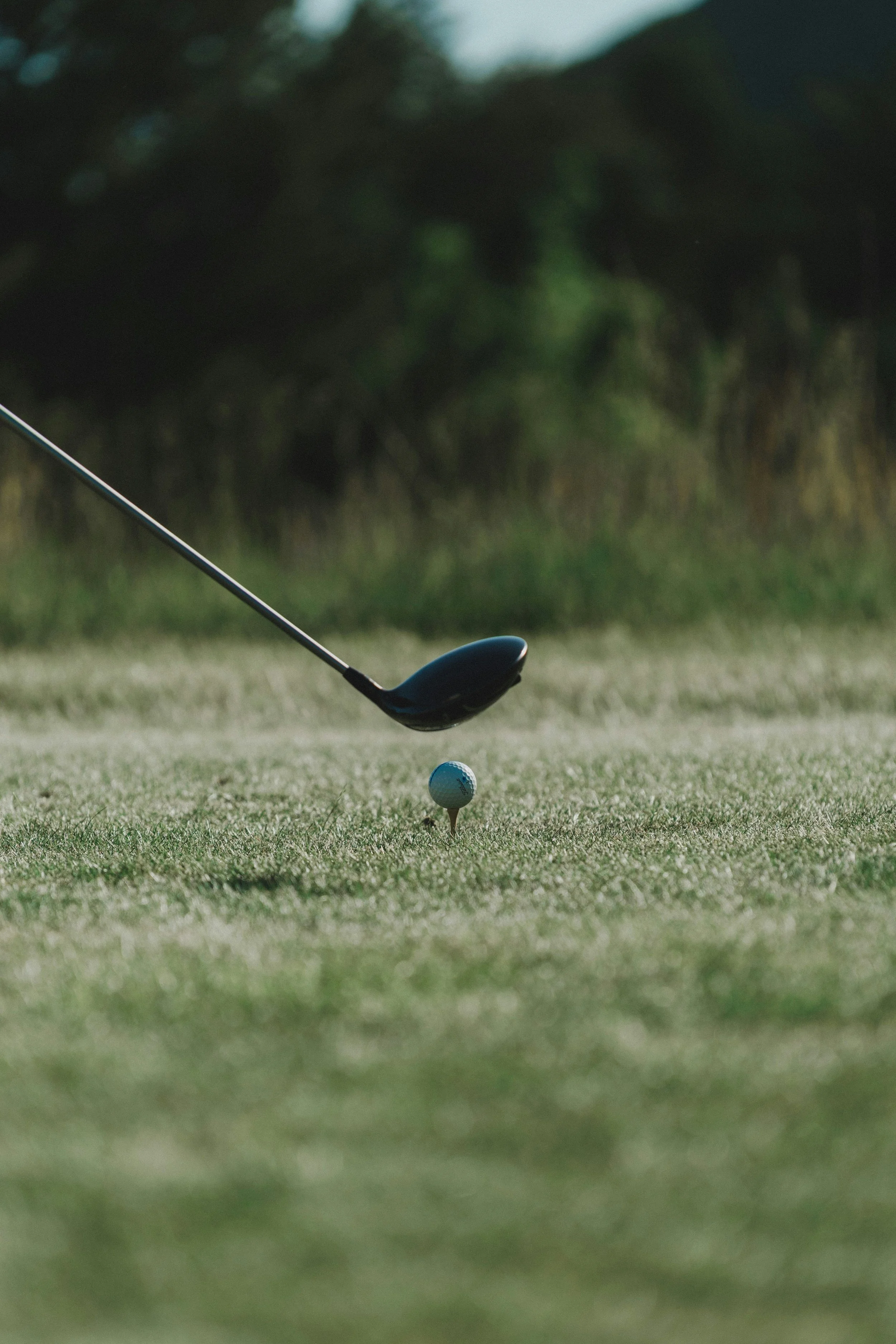 Close-up of a golf ball on the grass with a golf club about to hit it, background blurred trees.