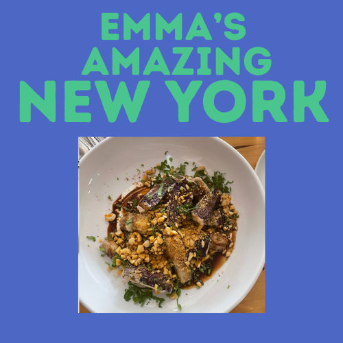 Emma's Amazing New York