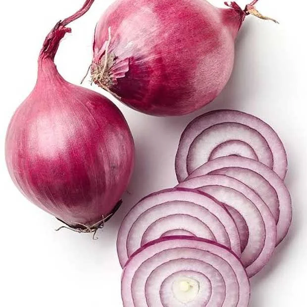 「洋の朝食セット」＋「アルポンテのディナー」セット