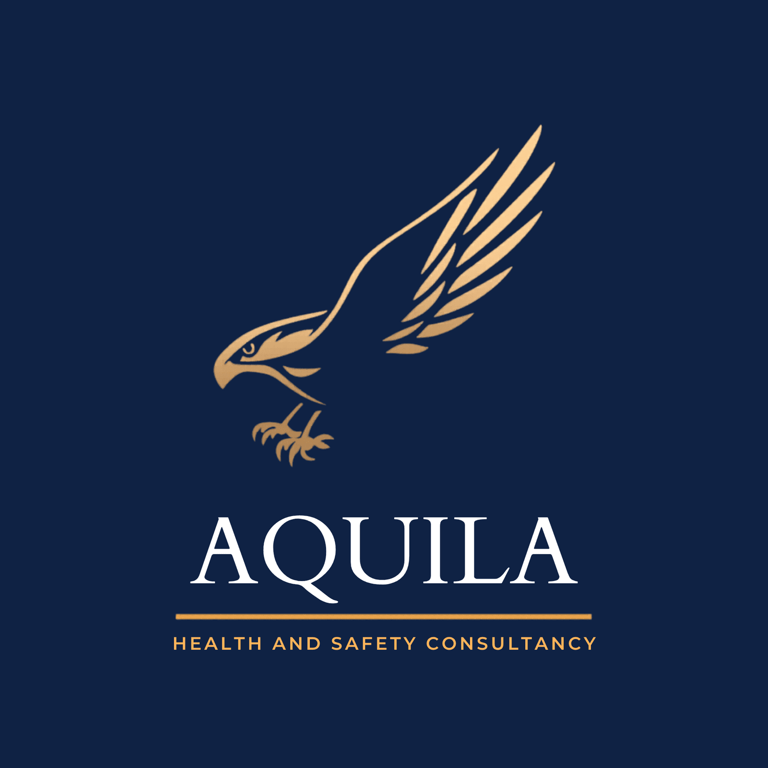 Aquila Health &amp; Safety Consultancy