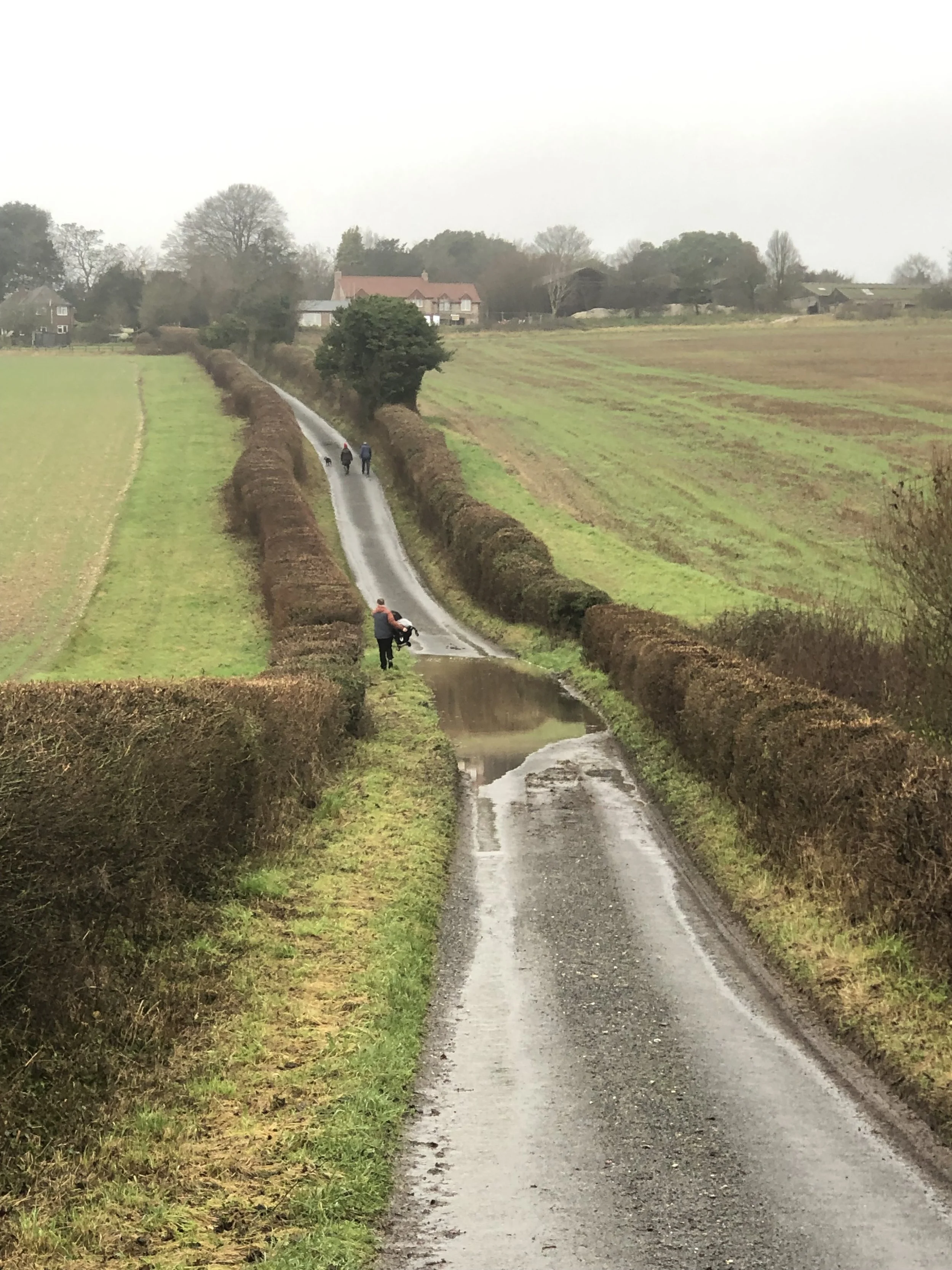 IMG_1409.jpeg