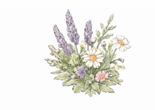 Illustration of a bouquet with lavender, daisies, and pink flowers.