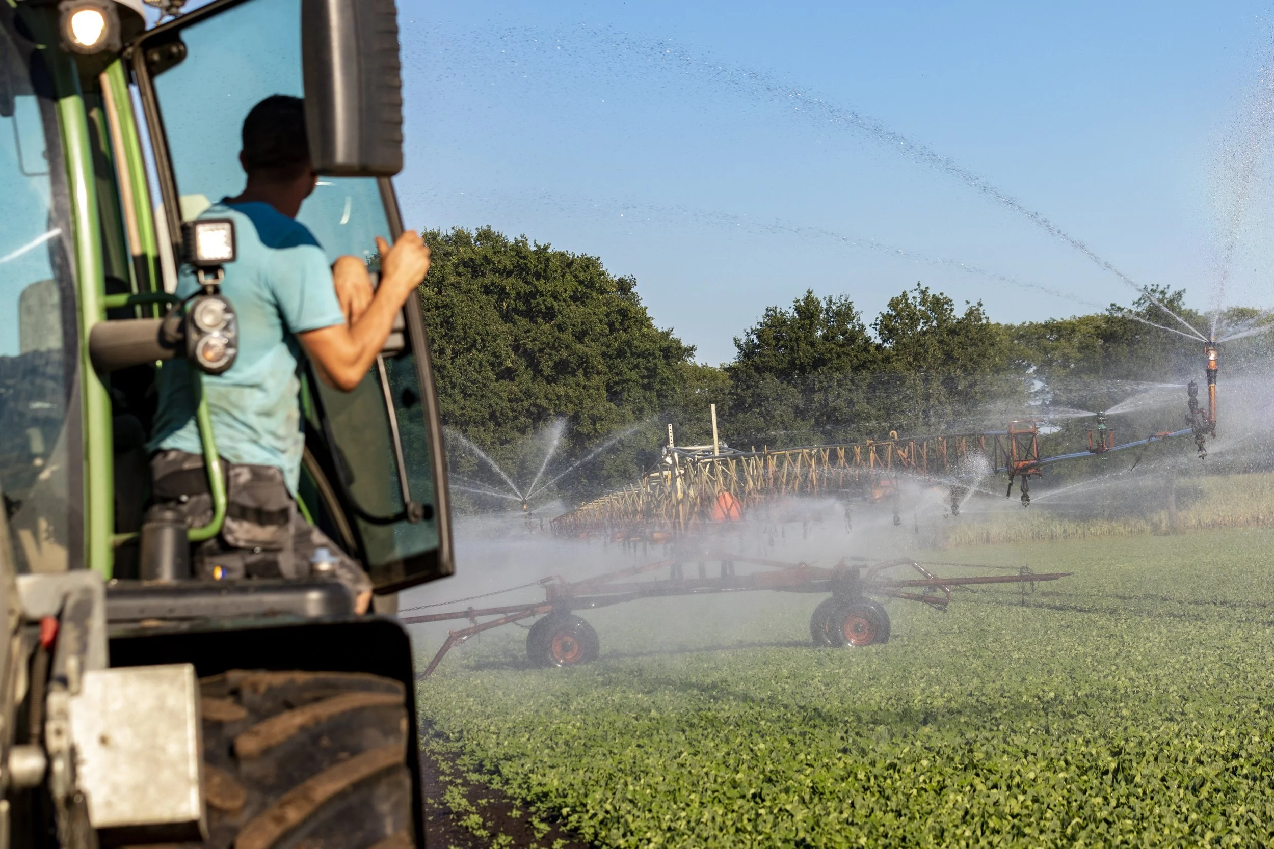 Farmer operating a green tractor with a sprayer attached, watering a field on a sunny day with blue sky and trees in the background.