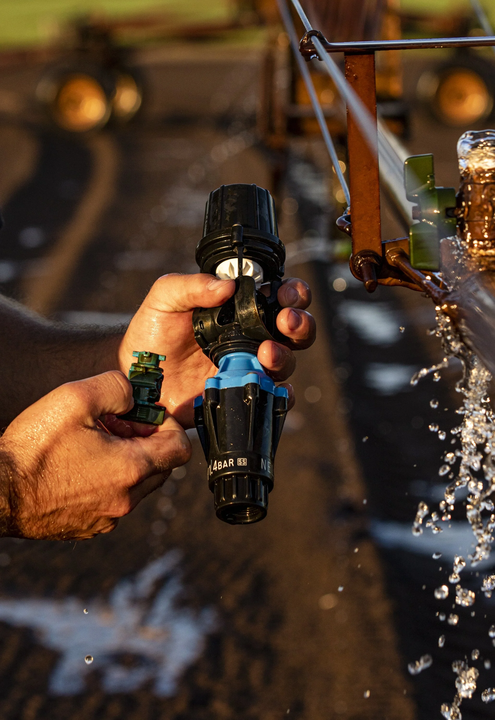 A person adjusting a garden hose nozzle to water plants during sunset.
