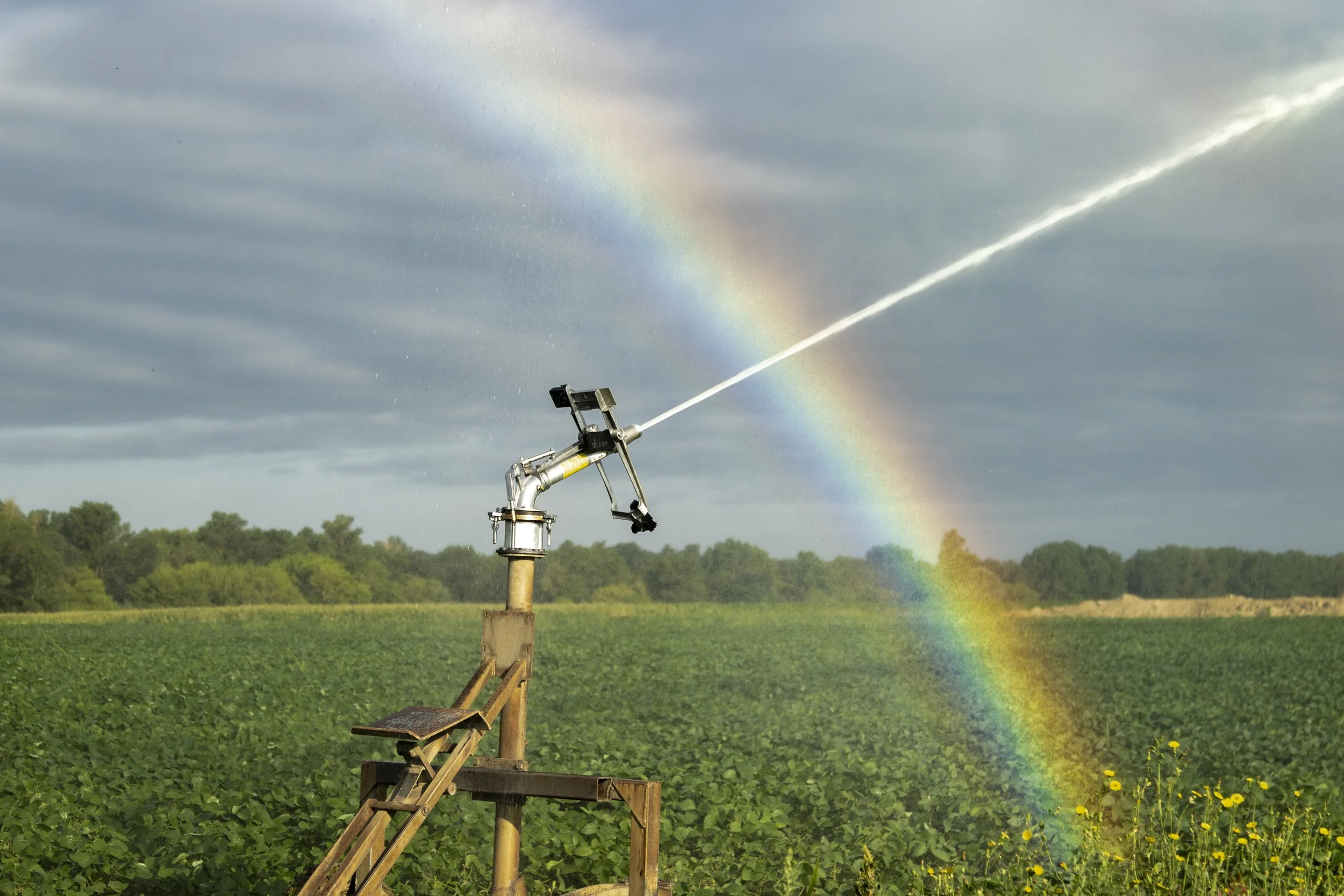 A sprinkler releasing water in a field with a rainbow in the cloudy sky.