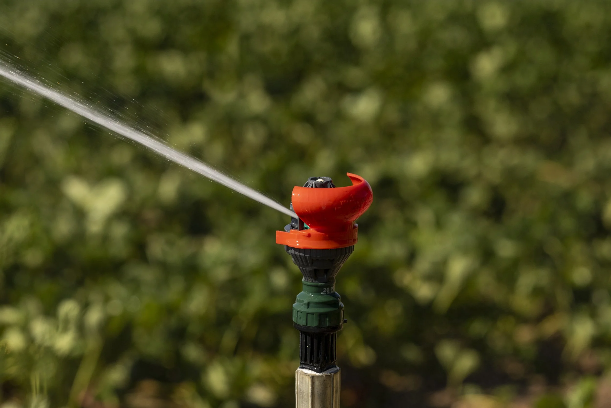Sprinkler releasing a stream of water on a green grassy background.