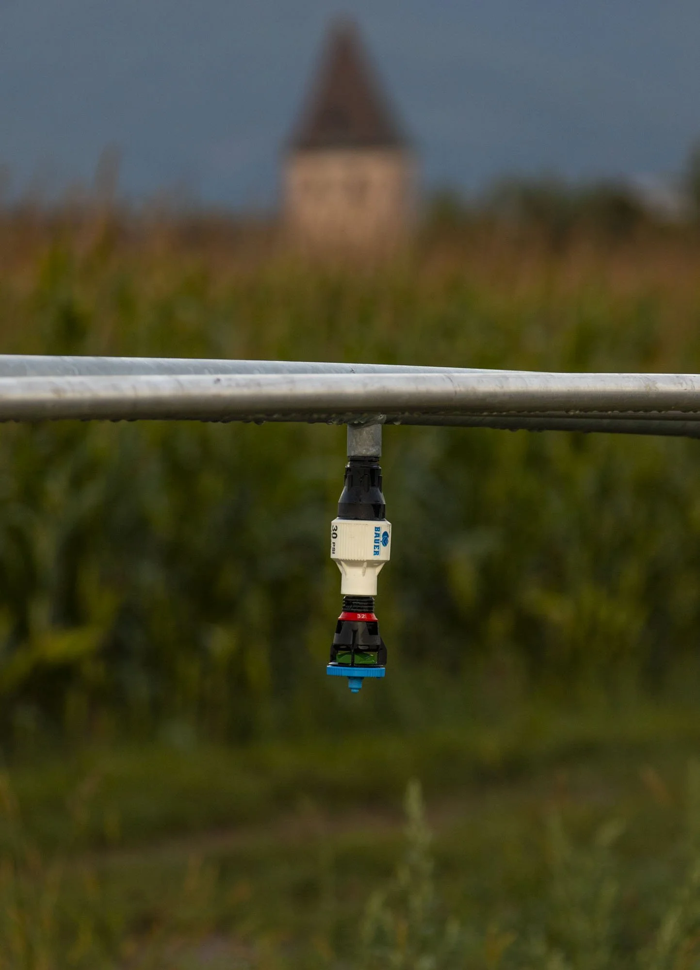 Close-up of a sprinkler head hanging upside down from a metal pipe in a field, with a blurry historic building in the background.