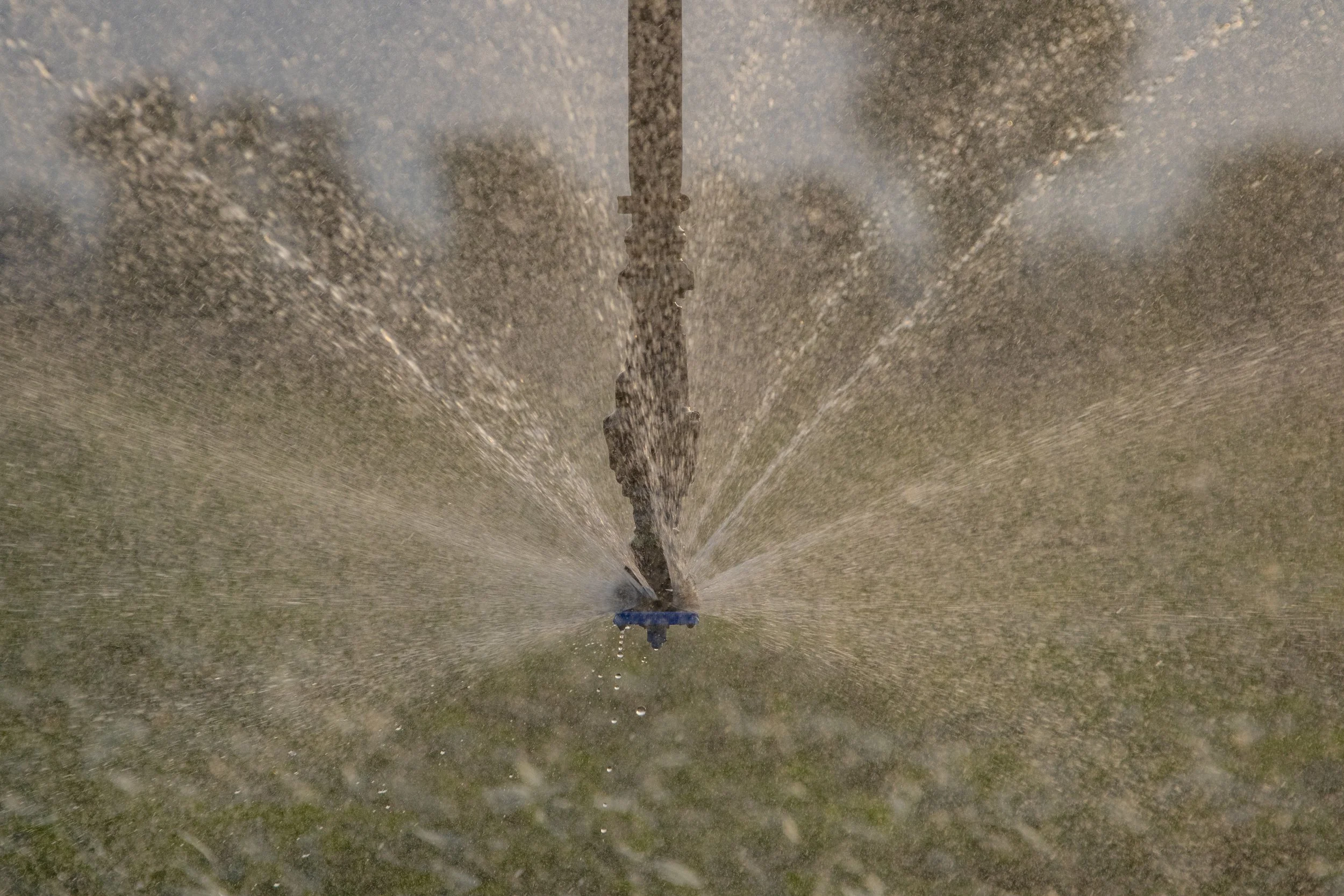 Close-up of a sprinkler spray from underneath, watering a grassy field.
