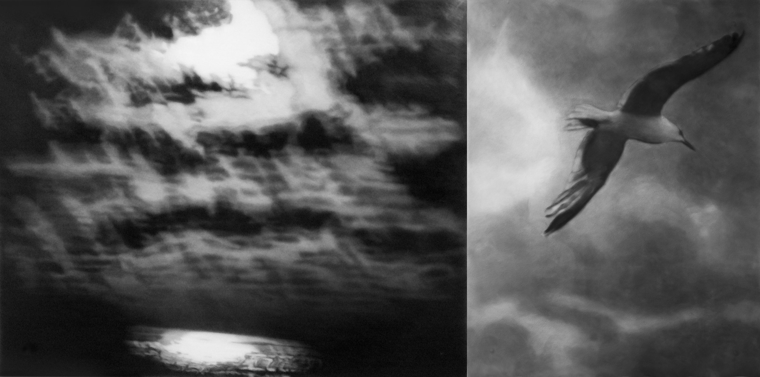 Night Elapsing, 2023, black India ink painted onto sanded plexiglass, two individual panels, total dimension, 42.5” x 86”