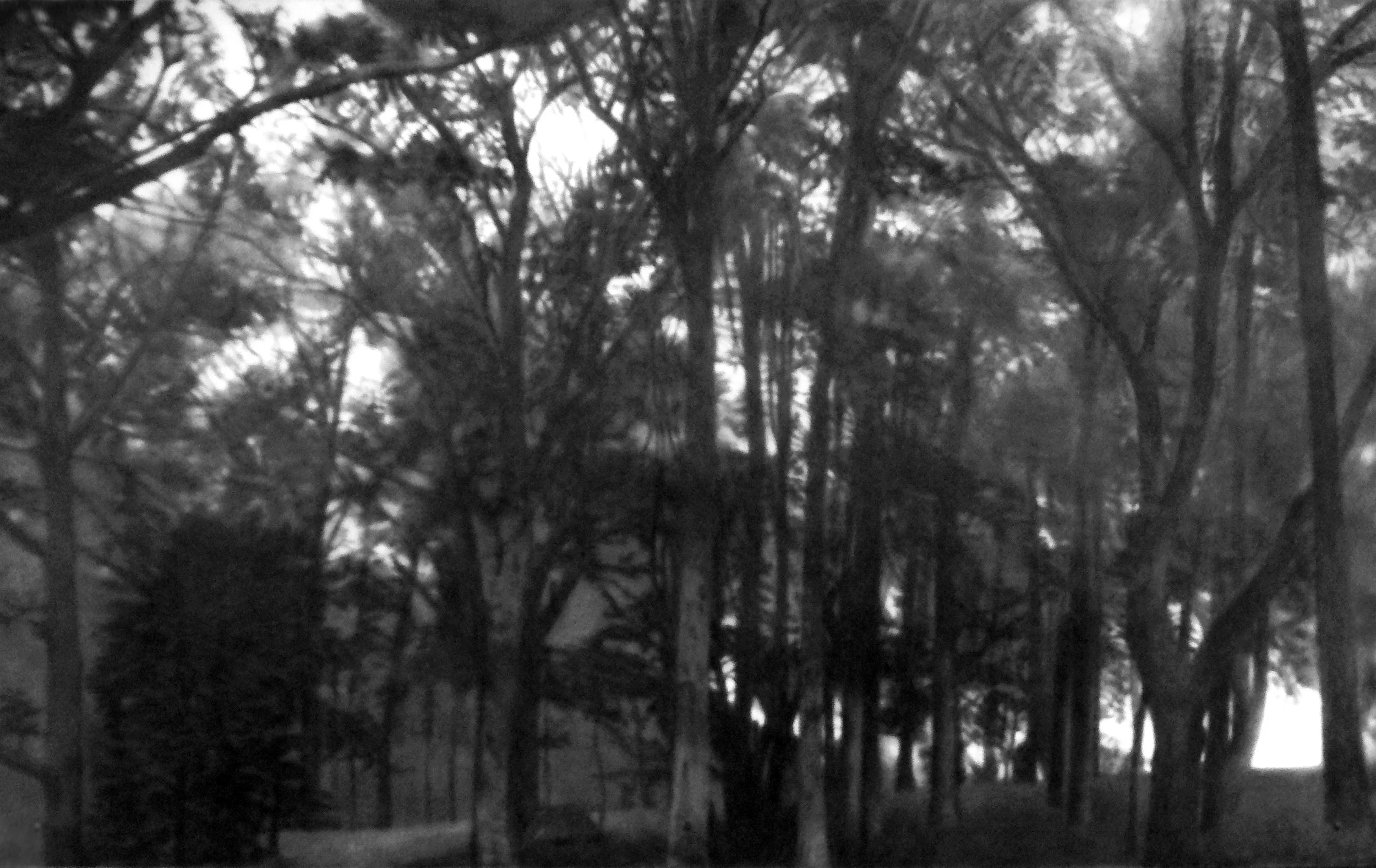 Half Light, 2008, black India ink painted onto sanded plexiglass, 60” x 96”