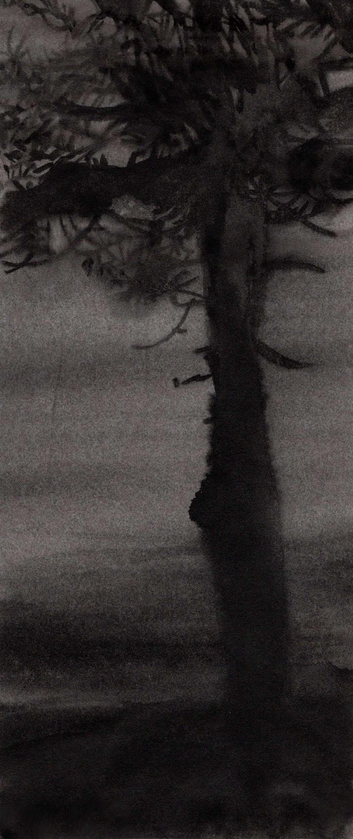 Dark Tree, 2024, black India ink painted on waxed rice paper, 9.5” x 4.75”