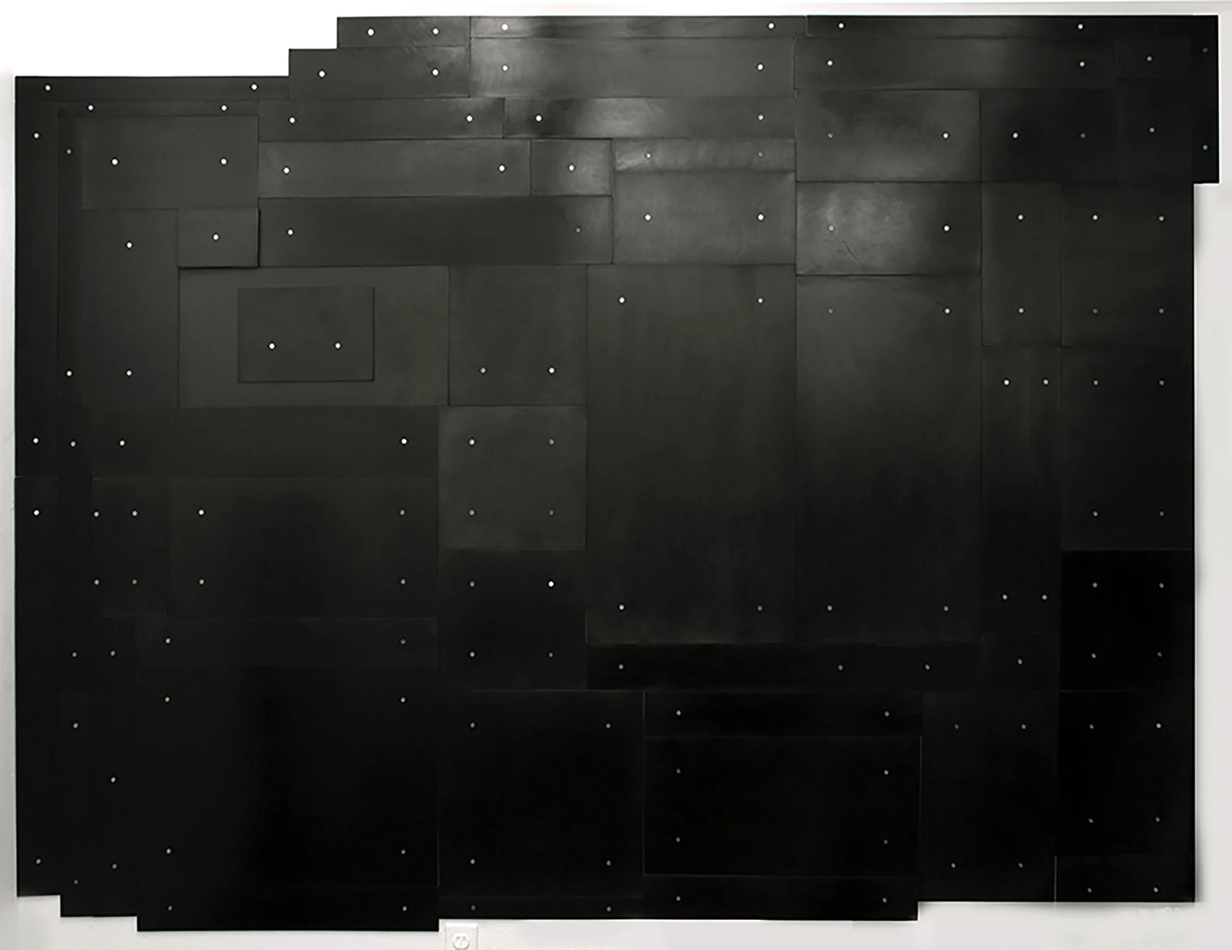 The Dark Garden, 2018, black India ink painted onto sanded plexiglass, 72 individual pieces of varying size, total dimension, 82” x 121”