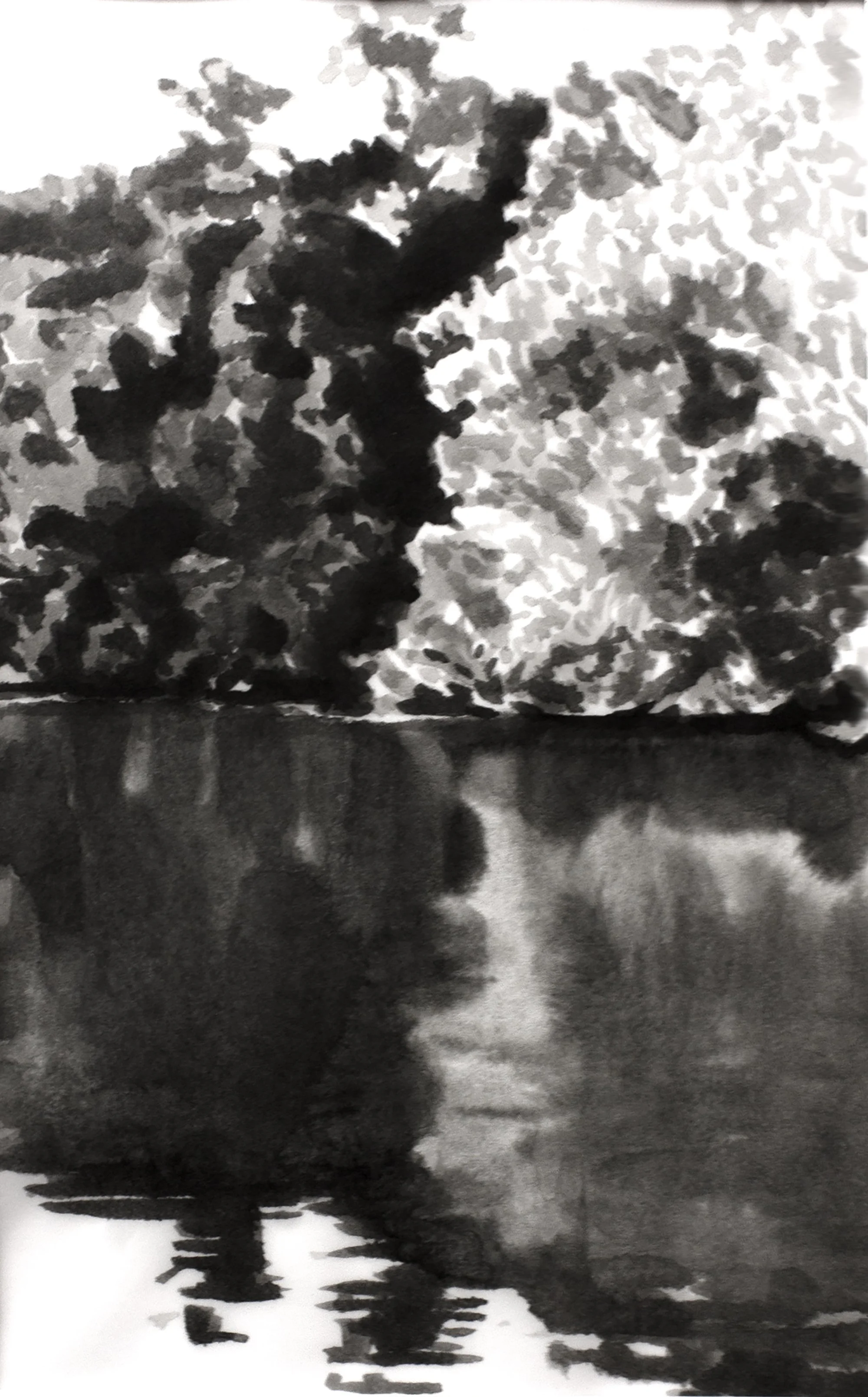 Mid Summer, 2025, black India ink painted onto waxed rice paper, 6” x 10.25”
