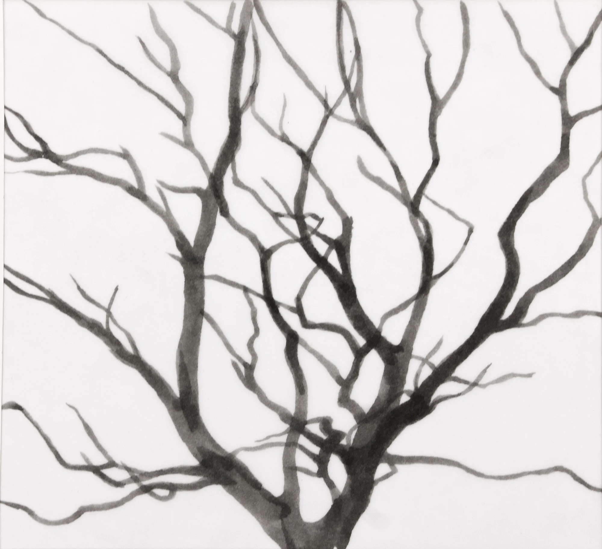sarahleahy_cityandlandscapedrawing_treesilhouette_2000_inkdrawing_figurativedrawing_06.jpg