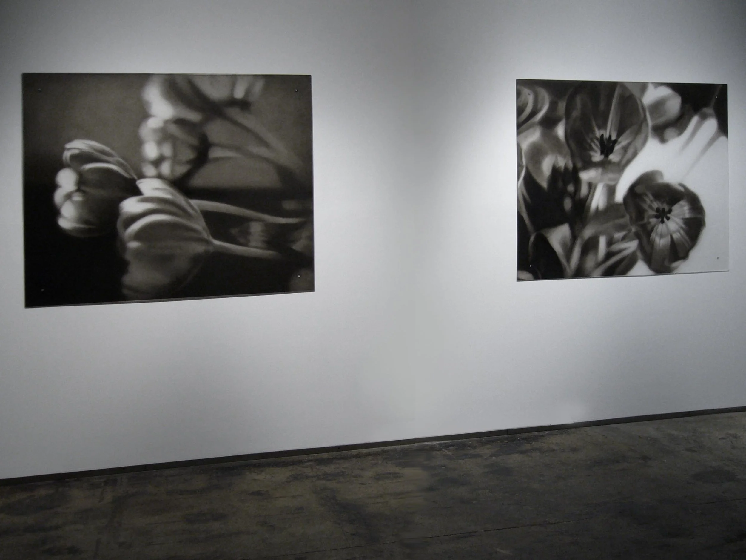 Exhibition shot, 2007