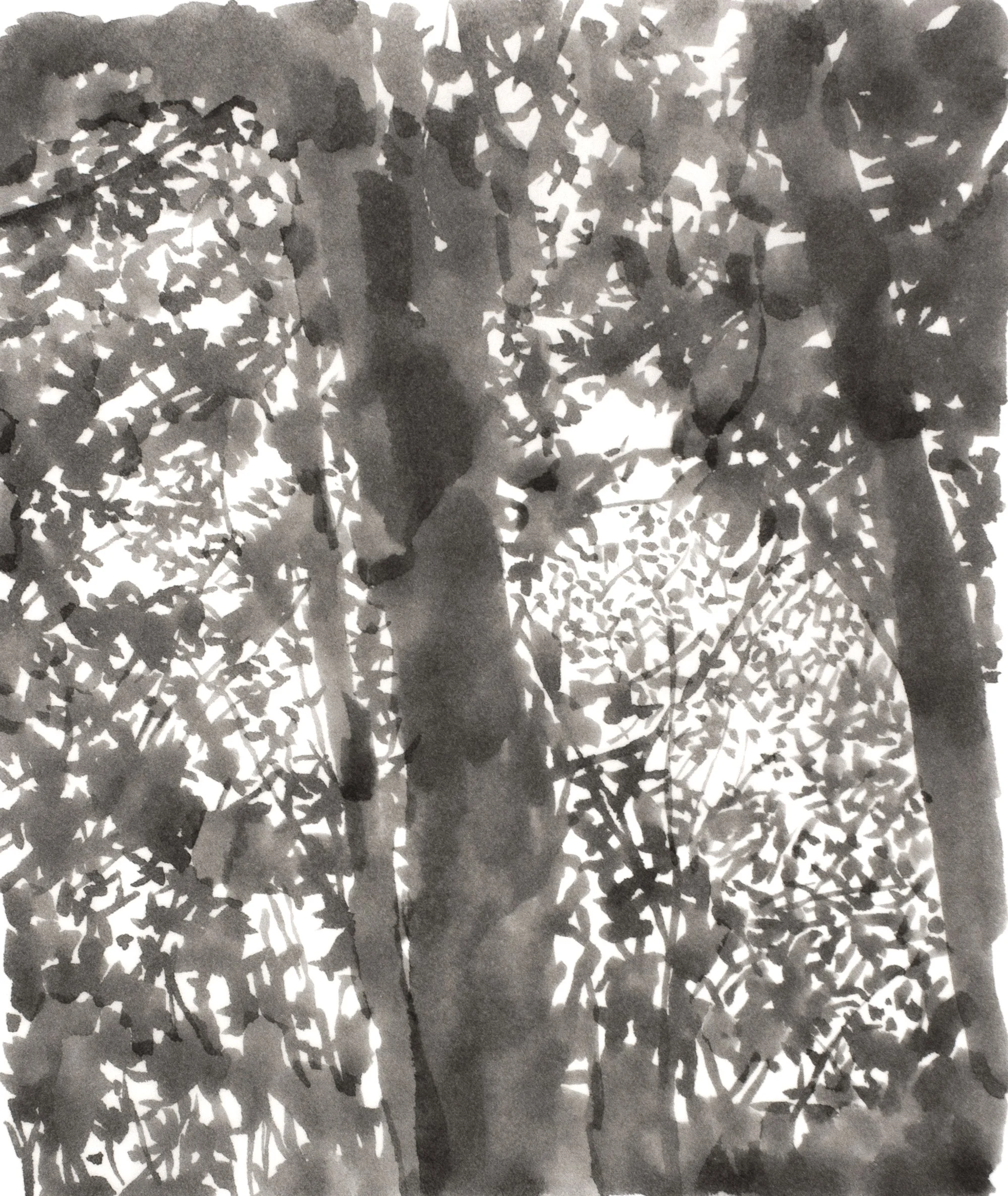 sarahleahy_cityandlandscapedrawing_leafpattern_2021_inkdrawing_figurativedrawing_08.jpg