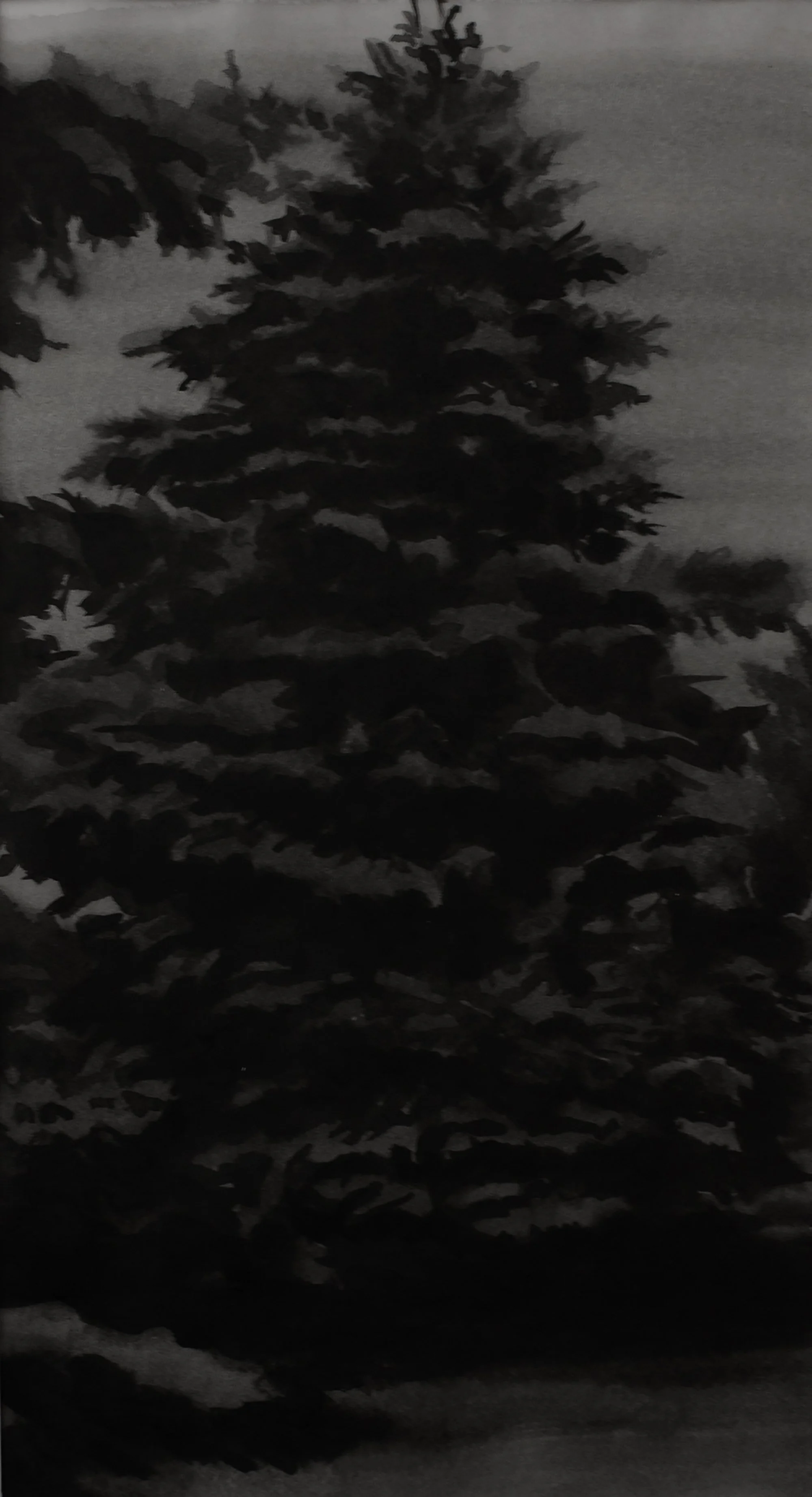 Mid Winter, 2025, black India ink painted onto waxed rice paper, 5.5” x10.5”
