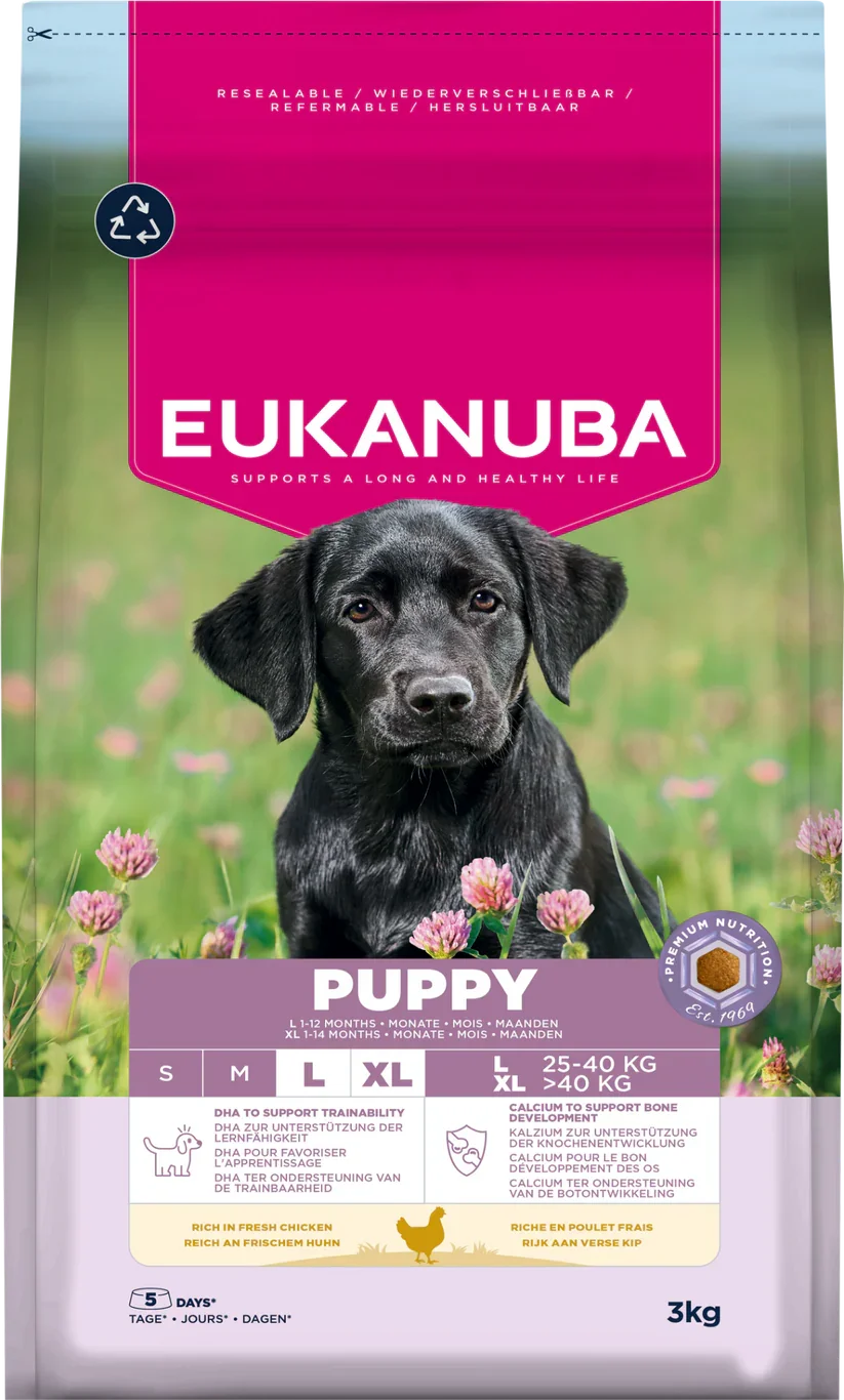 Eukanuba Dog Puppy Large Chicken 3kg.webp