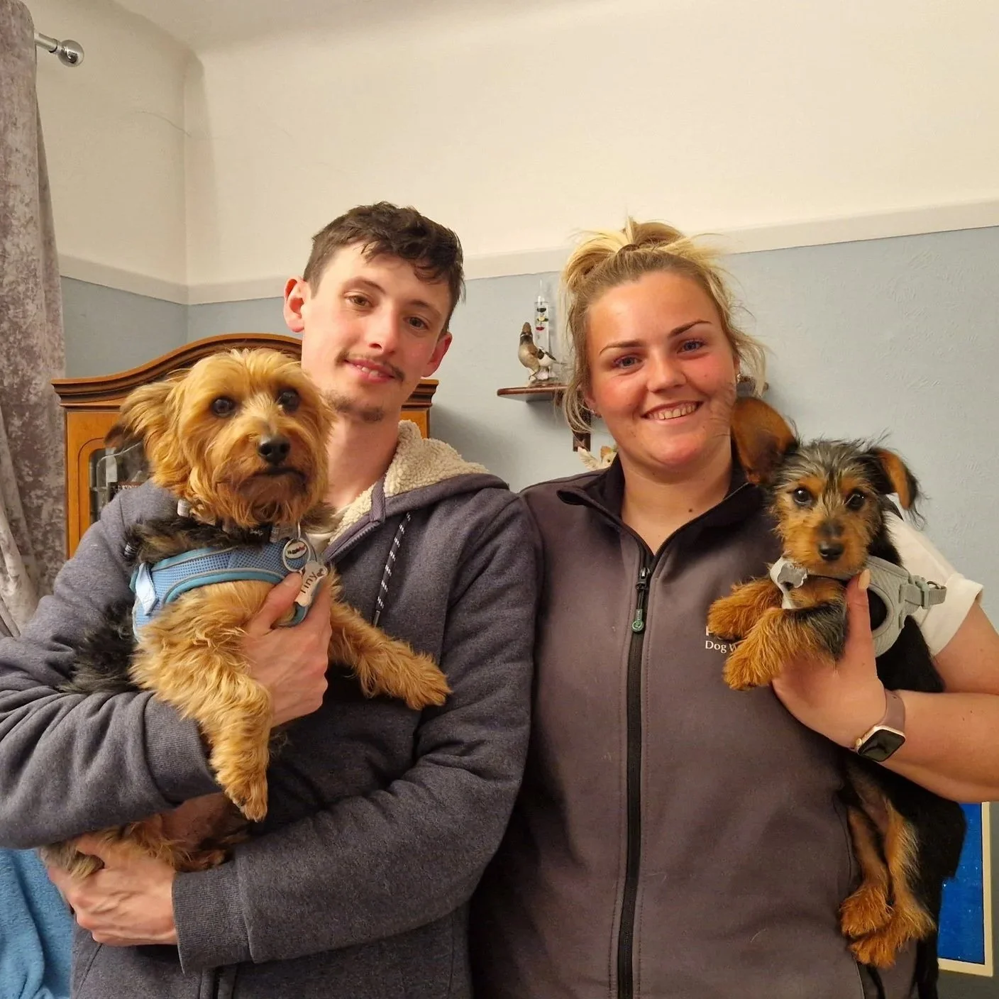 A young man and woman are standing together, each holding a small dog. The man is on the left side, wearing a grey hoodie, and the woman is on the right side, wearing a dark grey vest. They are smiling at the camera. The man is holding a tan, fluffy dog with a blue harness, and the woman is holding a smaller black and tan dog with a light grey harness. There is a wall with a decorative shelf and some figurines behind them.