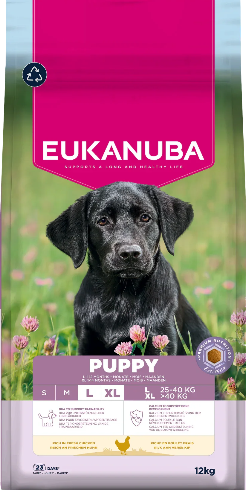 Eukanuba Dog Puppy Large Chicken 12kg.webp