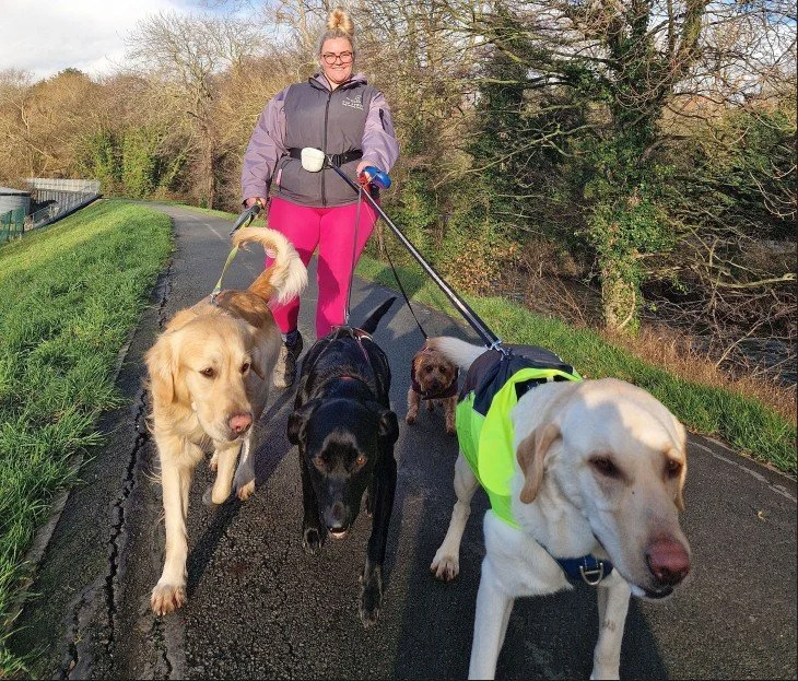 Dog Walk
