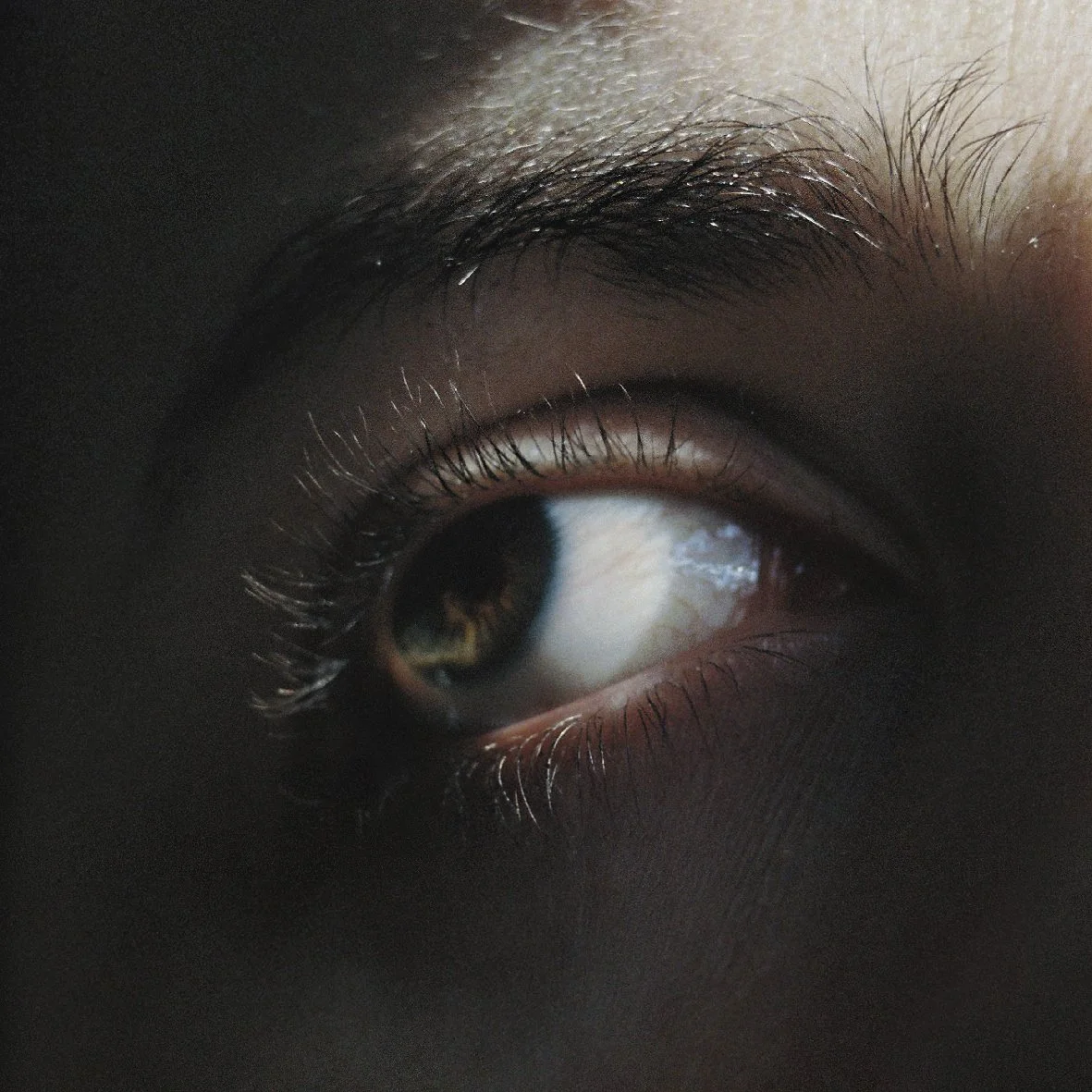 Oeil fatigue 1.jpg
