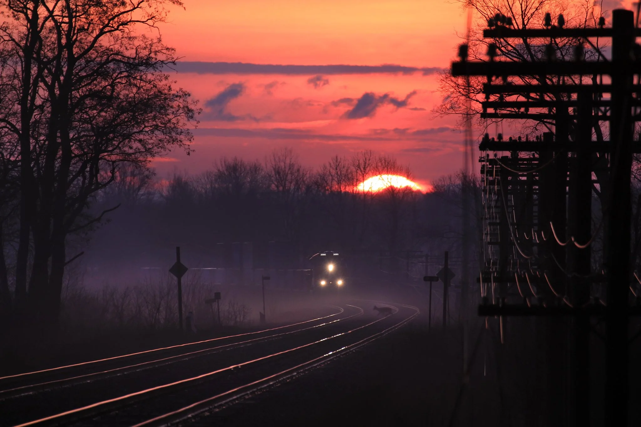 A sunset with orange and pink hues in the sky, overtrain tracks that reflect the light, with silhouettes of trees and electrical poles along the railway.