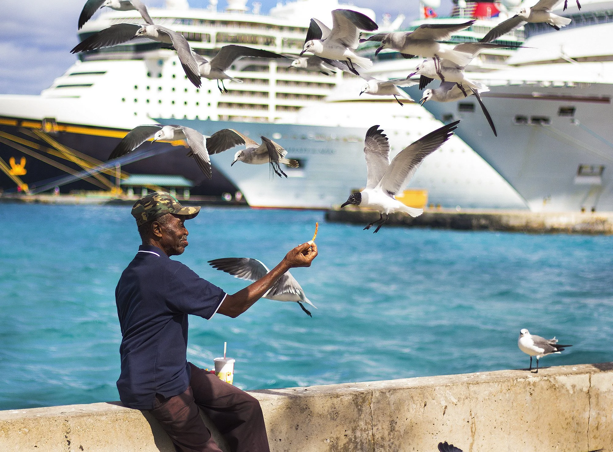 An elderly man in a camouflage hat and navy shirt feeding seagulls by the water, with cruise ships docked in the background.
