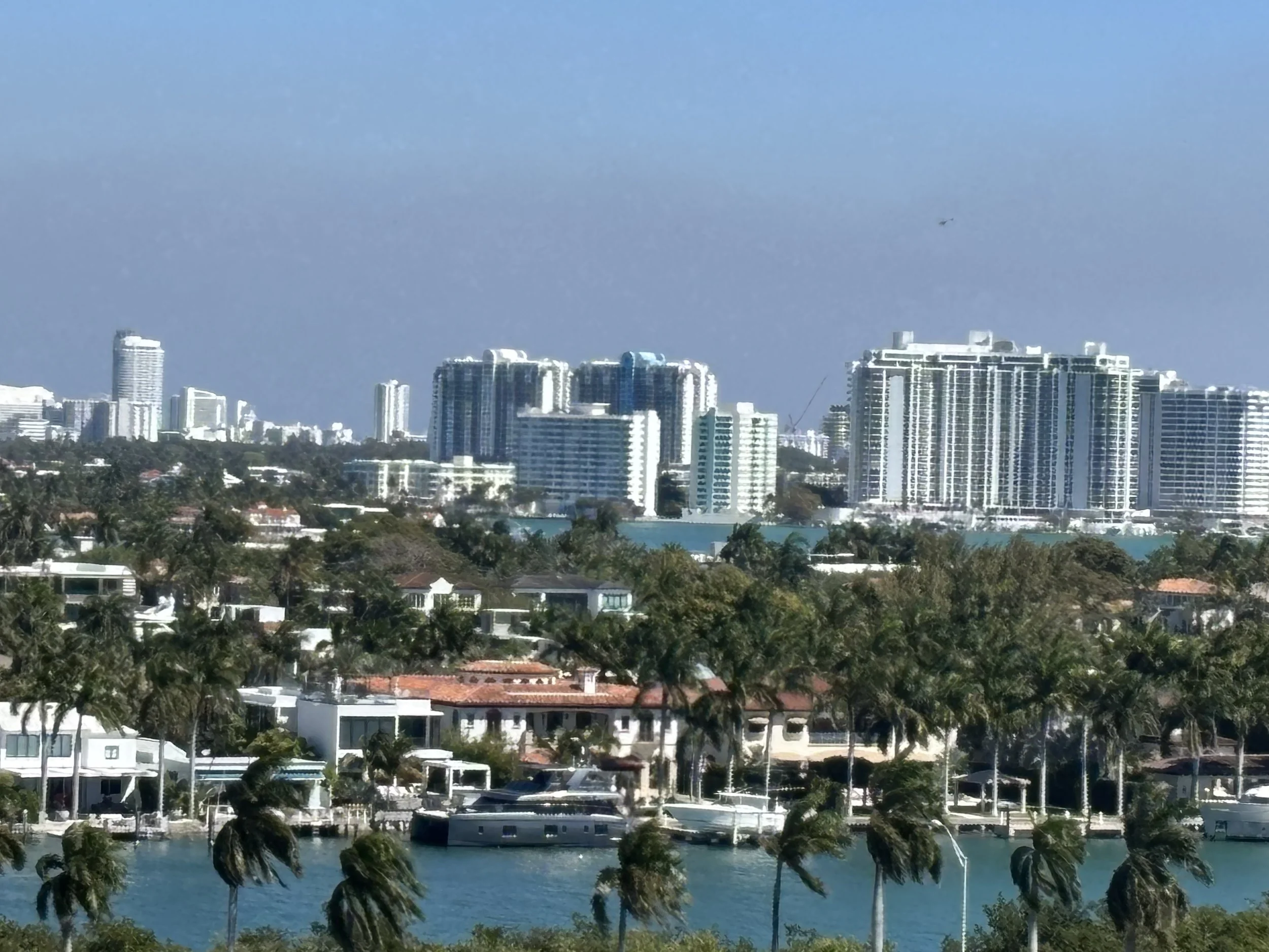 IMG_7223.jpeg