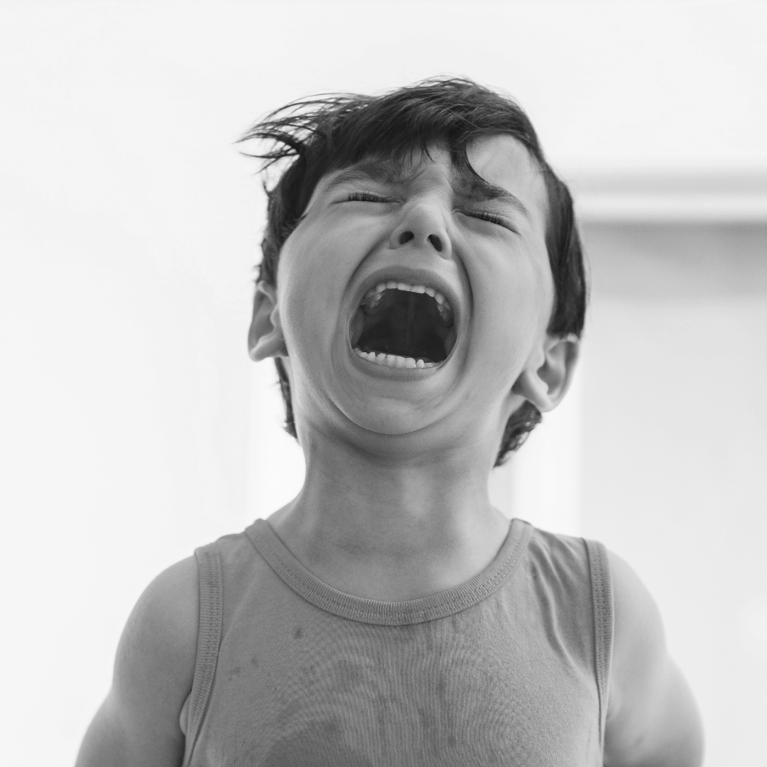  Our   triggers   control our emotional state 