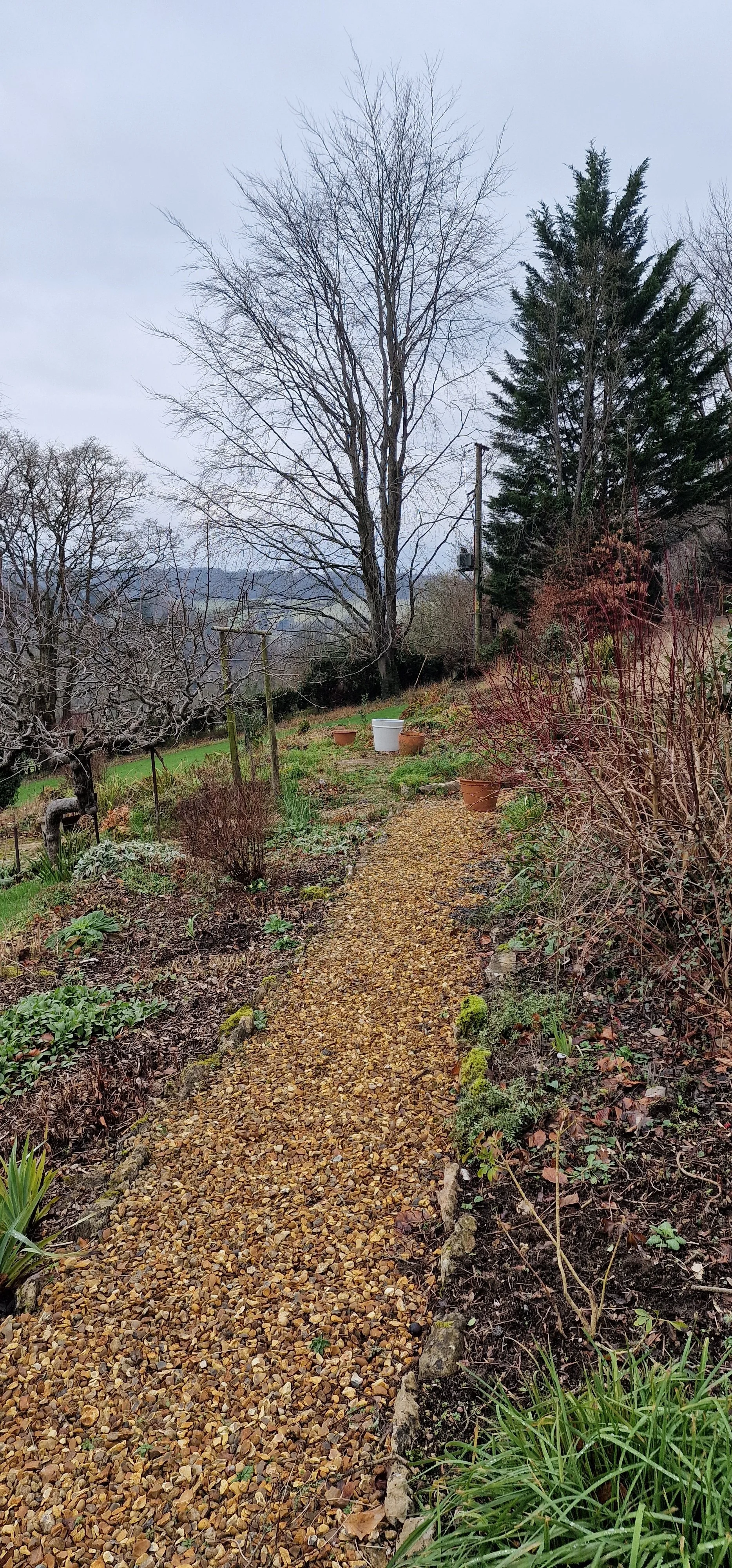 Existing View (from the summer house and barn)