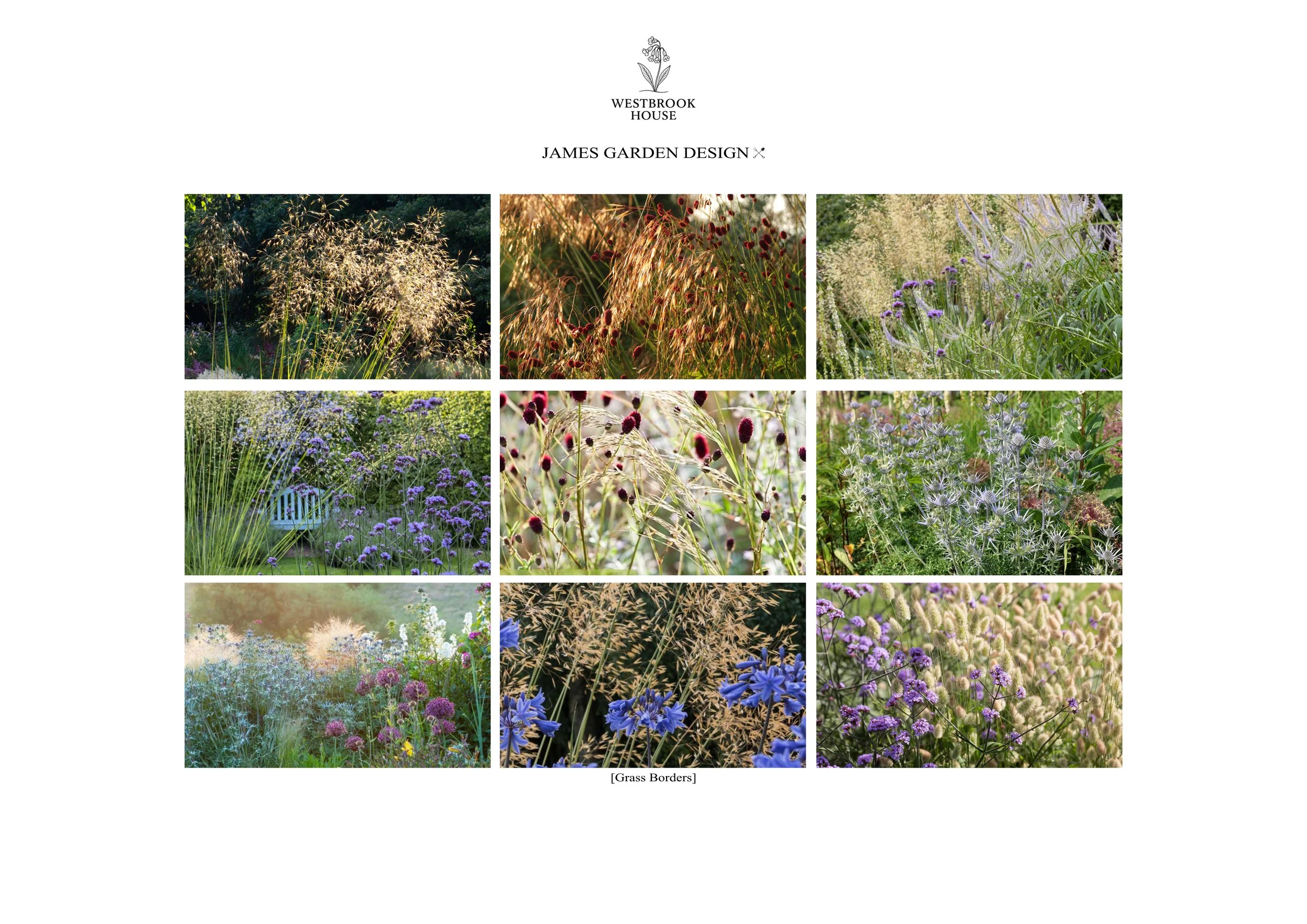 Mood Board (Planting Rear Garden)