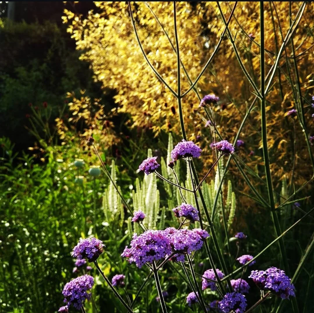 Devon Farmhouse - Planting Plans