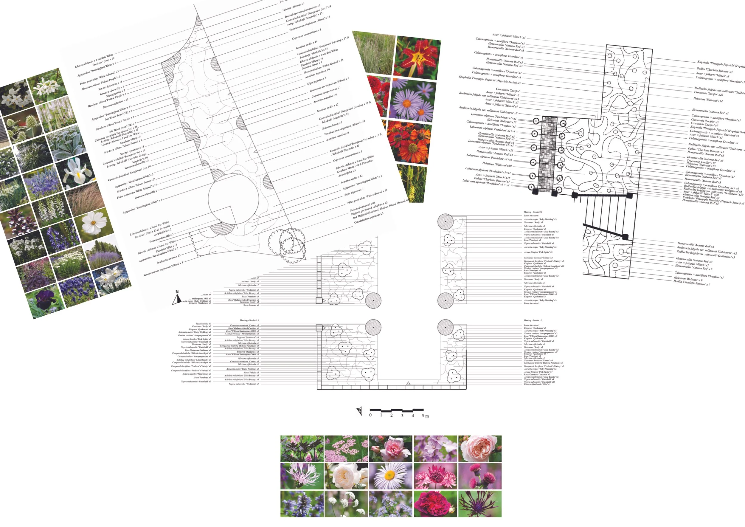 A set of garden design plans and plant or flower images. The plans include detailed diagrams and lists of plant species. The images feature various colorful flowers and plants arranged in a garden setting.