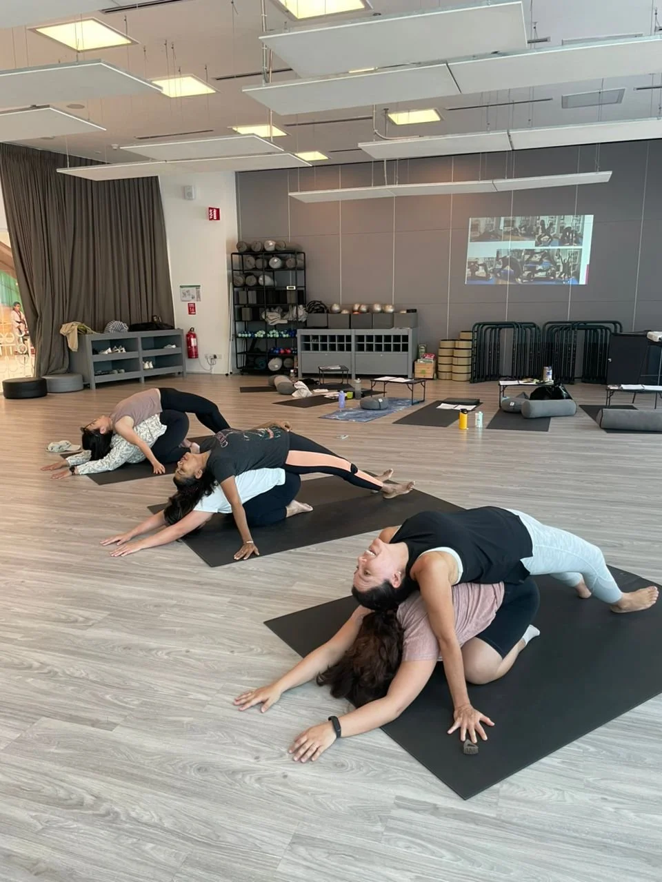 People practicing yoga on mats in a fitness studio
