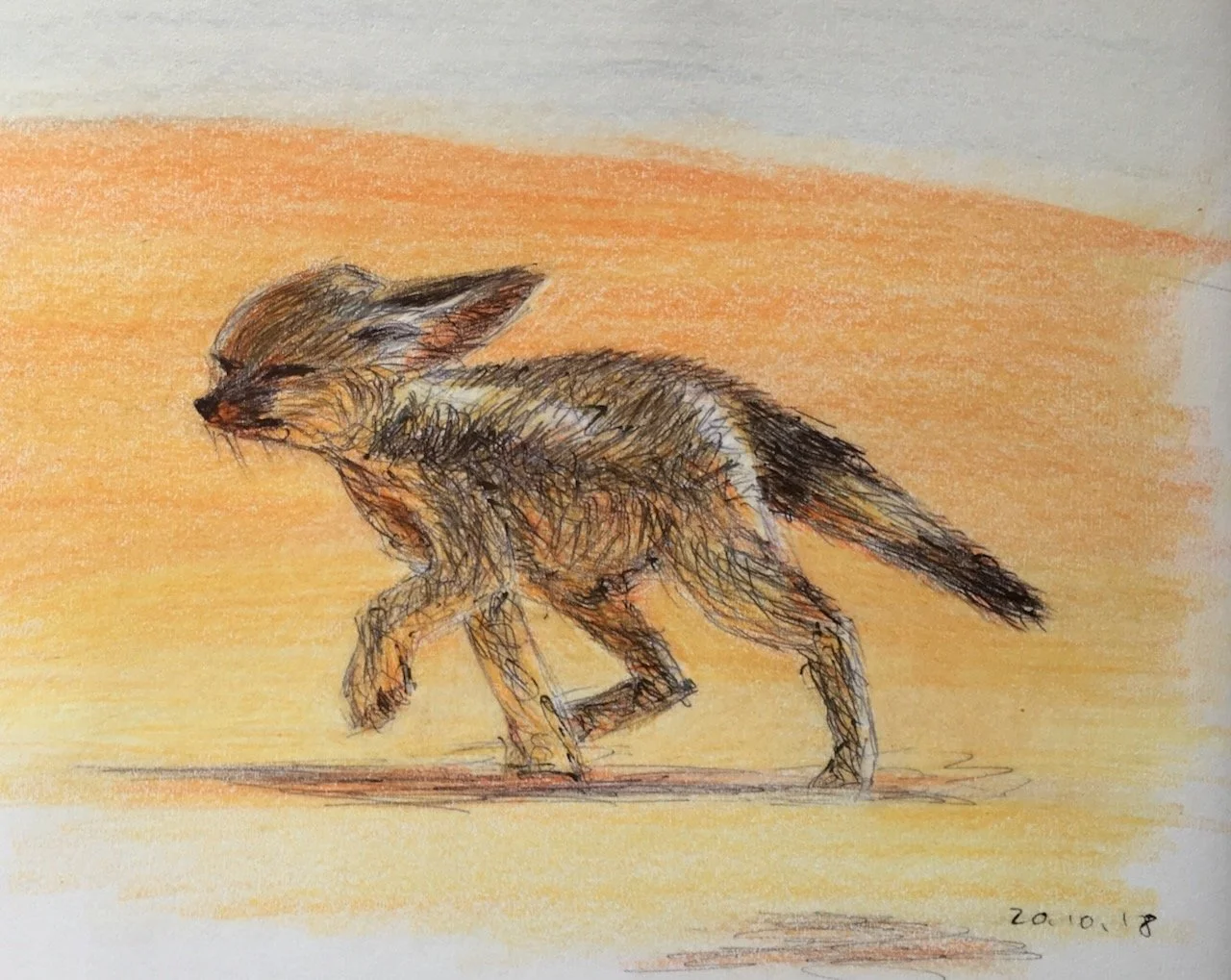 Fennek, Buntstifte und Kugelschreiber auf Papier, 12x17 cm