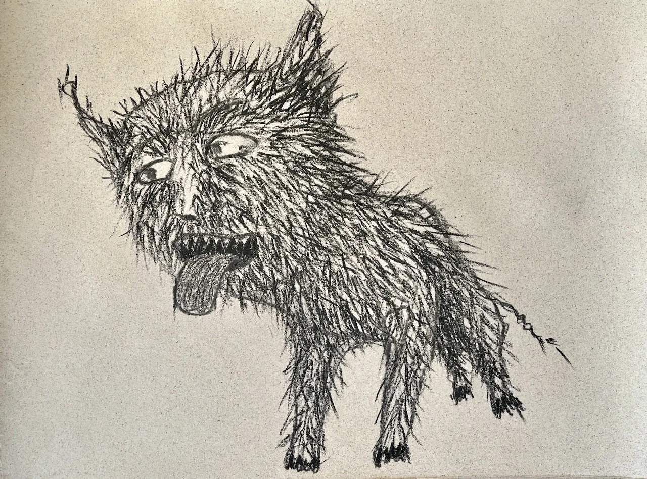 Struppi, Kohle auf Papier, 37x50 cm