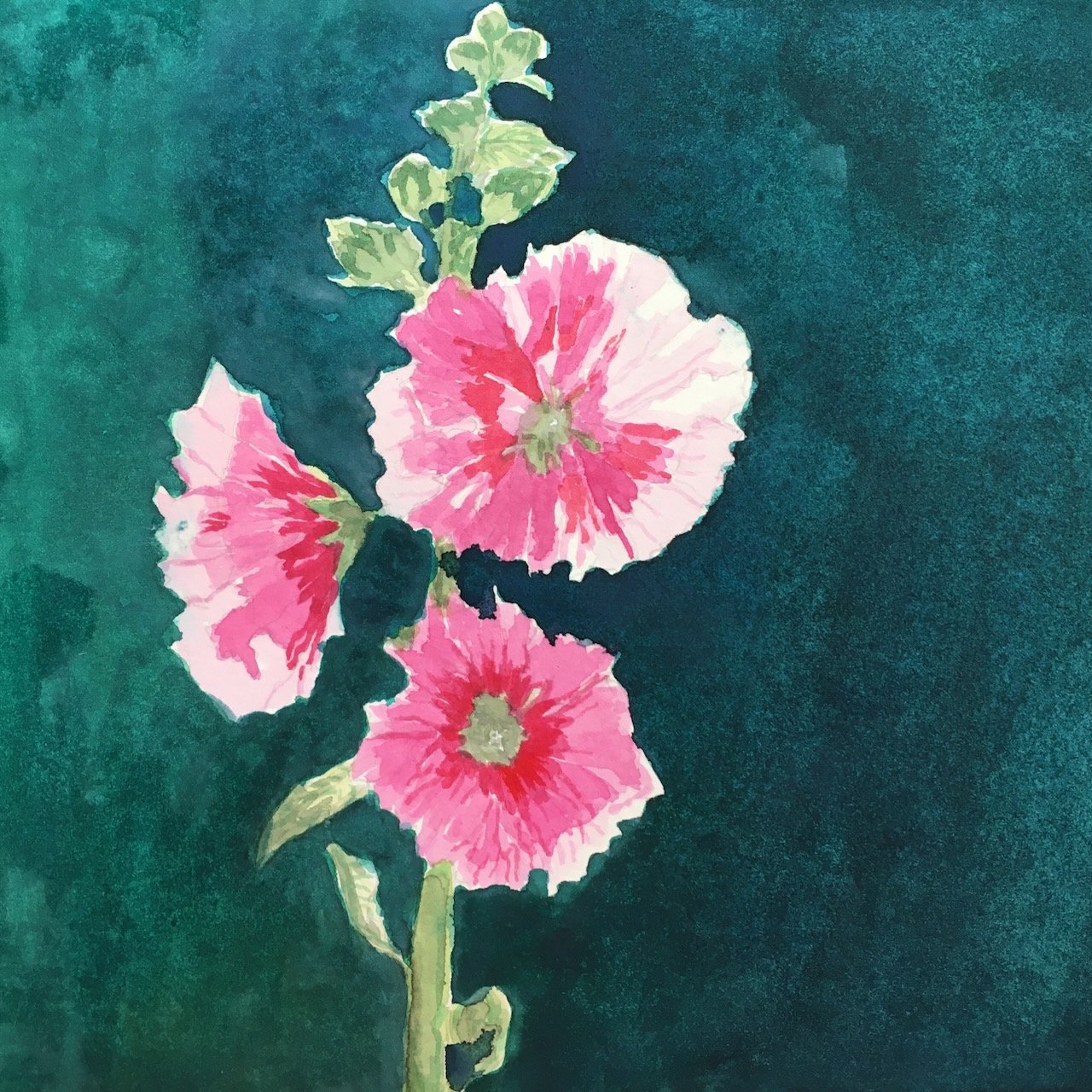 Kubanische Blüten, Aquarell auf Papier, 26x25 cm