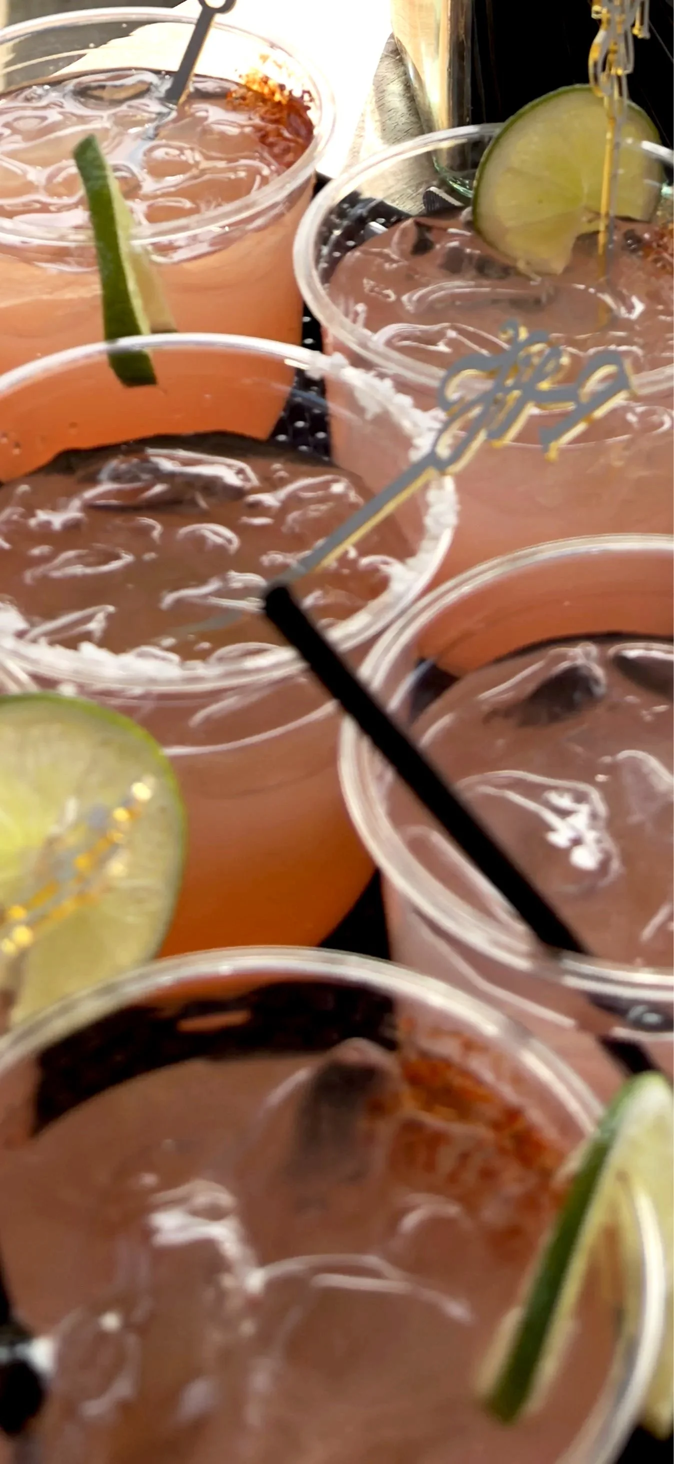 Watermelon Margaritas On Standby