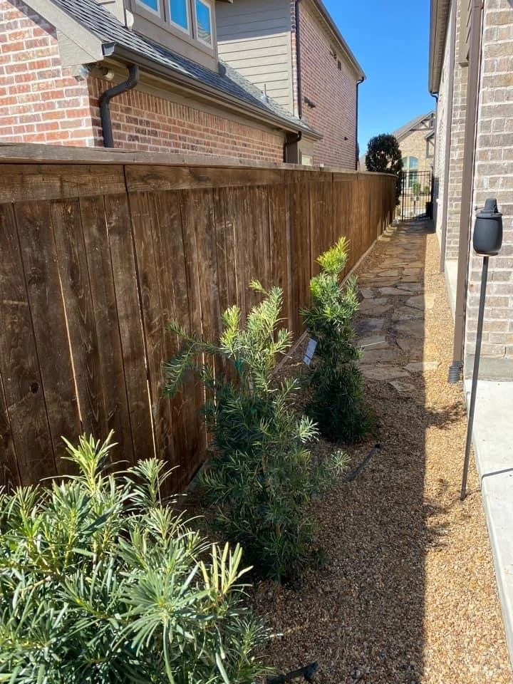 A narrow backyard walkway with a wood privacy fence on one side and a brick house wall on the other. There are small green bushes planted along the base of the fence, and a landscape light is visible on the right side near the house. The sky is clear and blue.