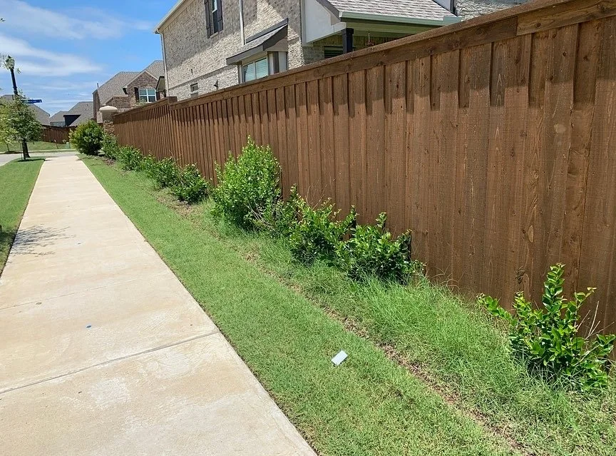 A sidewalk running parallel to a wooden fence with green bushes and grass alongside it in a residential area.