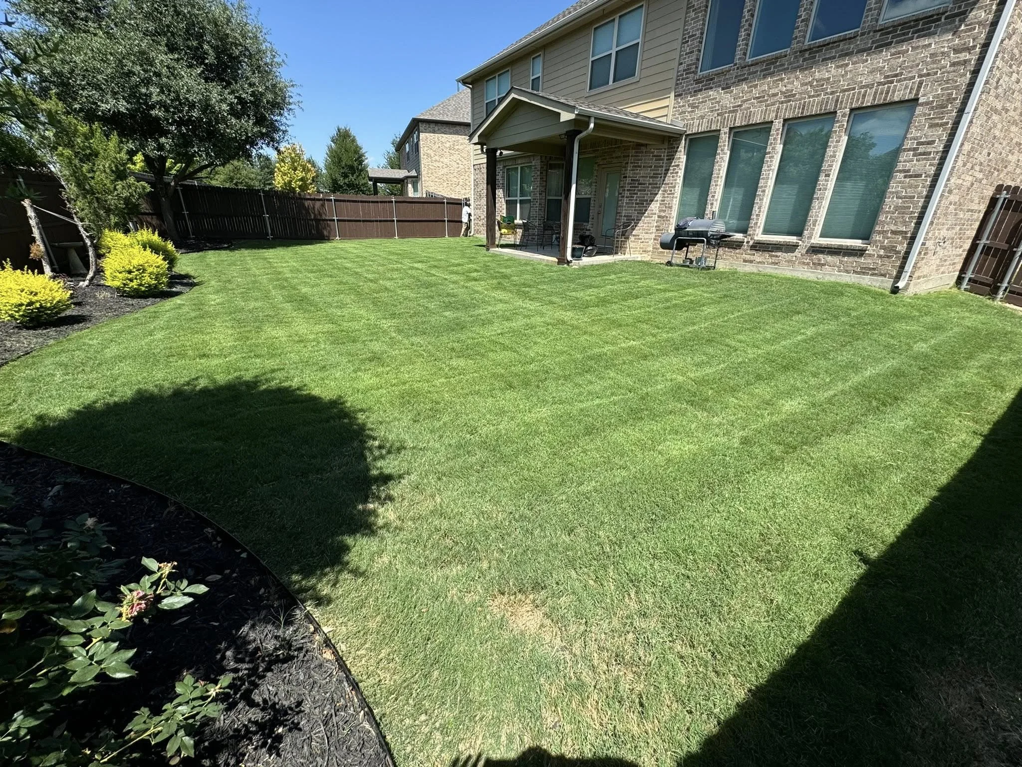 Backyard with green lawn, small trees, and plants along the edge, with a patio and brick house in the background, under a clear blue sky.