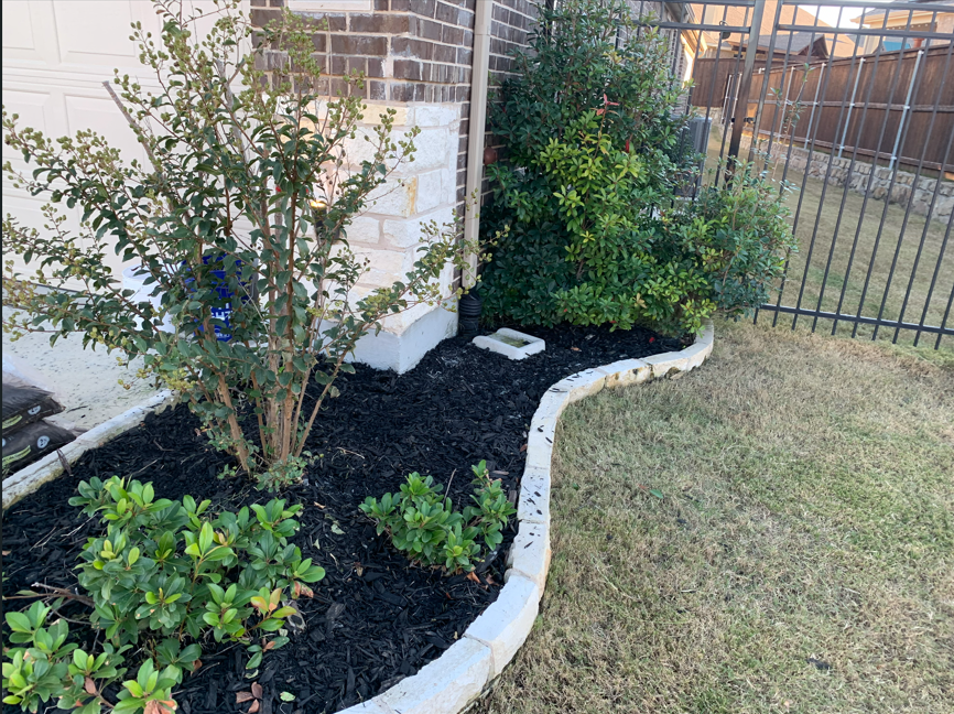 A landscaped garden bed with dark mulch, blooming shrubs, and small greenery, bordered by white bricks, next to a brick house and fenced yard.