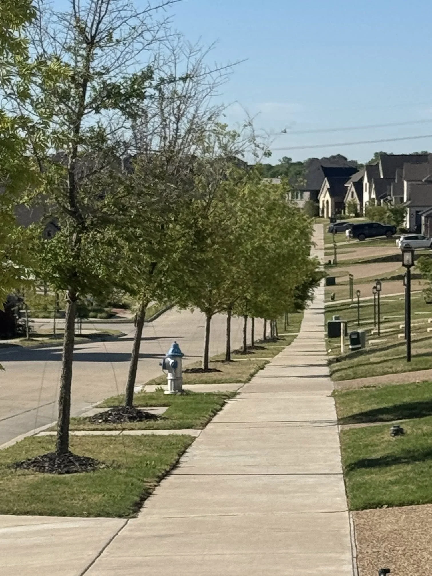 A sidewalk in a suburban neighborhood with trees, street lamps, a fire hydrant, and houses in the background.
