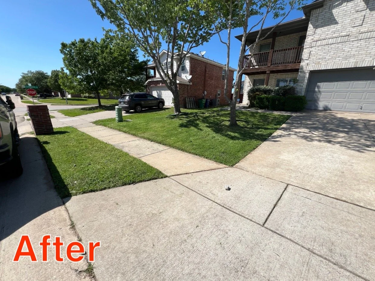 A residential street corner with a sidewalk, grassy lawn, two trees, parked cars, a stop sign, and houses in the background, taken on a sunny day.