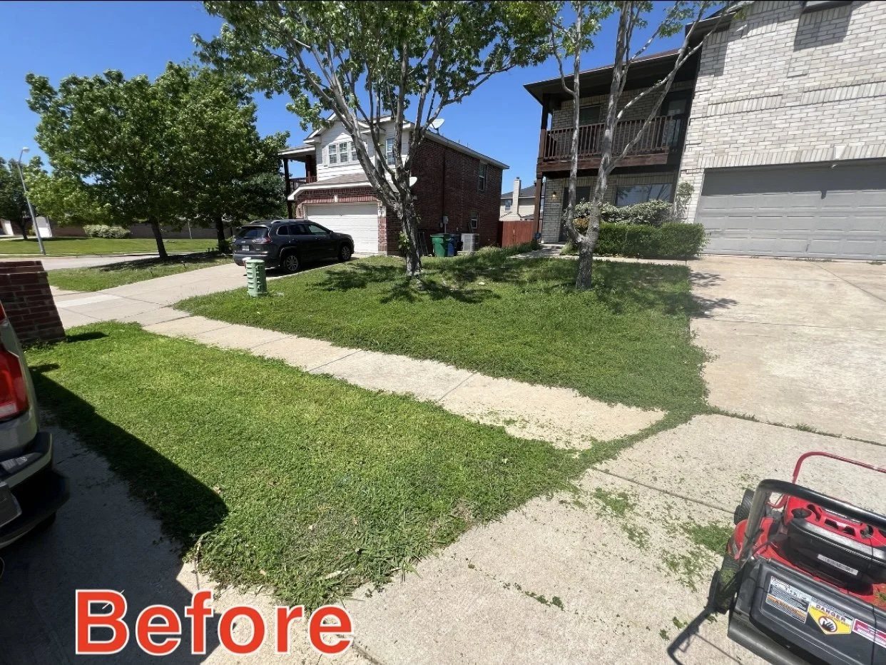 A residential front yard with grass, concrete pathway, trees, parked cars, and houses in the background, labeled 'Before'.