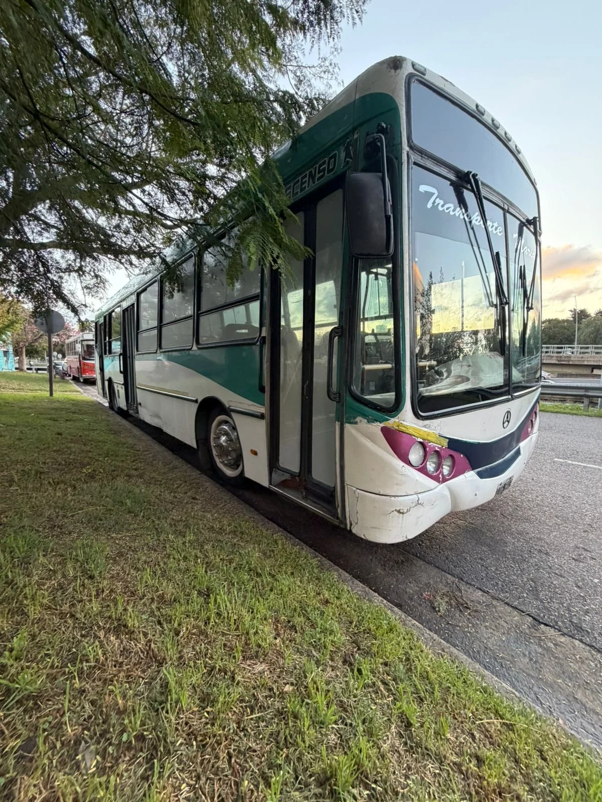 Autobús escolar estacionado en la calle, con daño visible en la parte frontal y en la esquina derecha del parachoques.