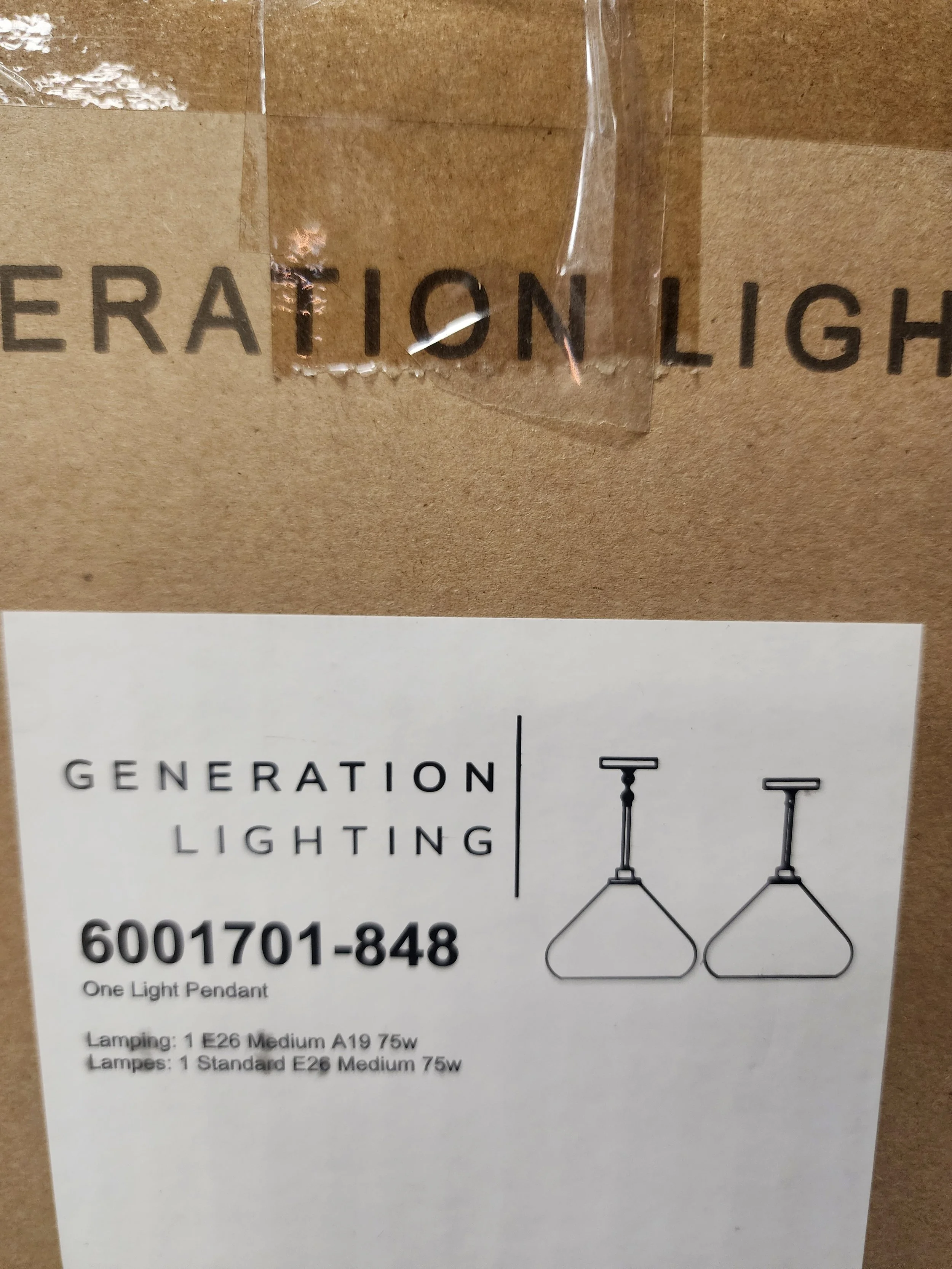 Generation lighting one light pendant